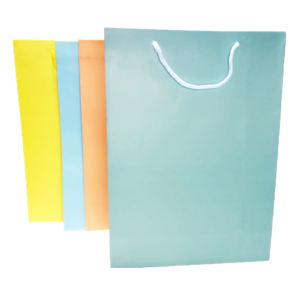 SACOLA DE PRESENTE 41,5X30X12CM - SLP-BC-G