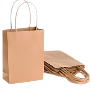 SACOLA KRAFT 18X09X24 C/10 UNID